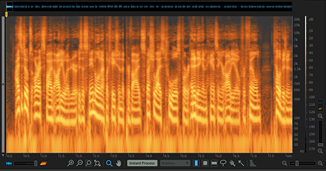 Izotope Rx Elements Spectral Repair